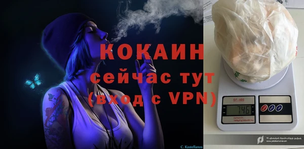 сатива Мегион