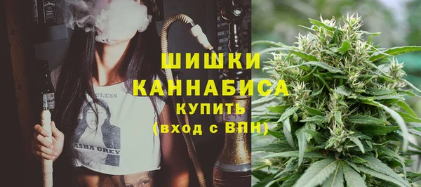 сатива Мегион