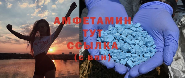 сатива Мегион