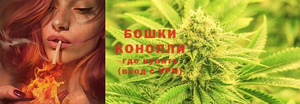 стаф Медвежьегорск