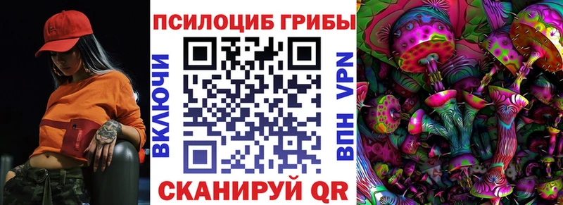 Псилоцибиновые грибы ЛСД  ссылка на мегу как войти  Мариинский Посад 